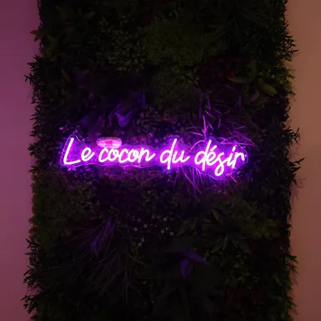 Le Cocon Du Desir, Room, Jacuzzi 公寓